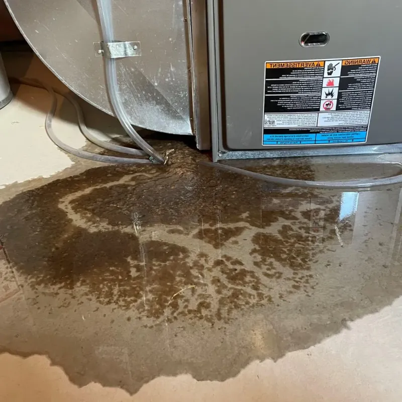 Pipe Burst and Leak Restoration in Bath, ME